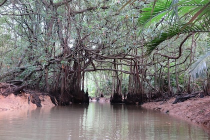 La zona perdida (pequeña Amazonía y casco antiguo) - (tour privado)