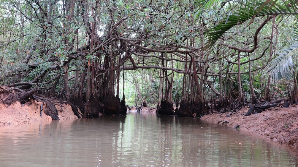 The Lost Zone Amazon & Old Town Tour