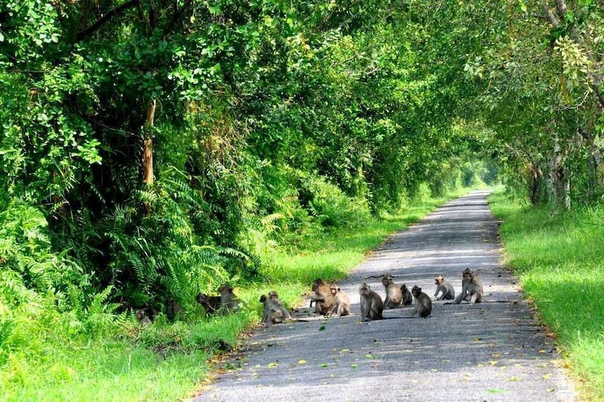 Sightseeing to the North of Phu Quoc Island