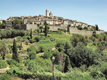 Demi-journée : Saveur et goût de la Provence