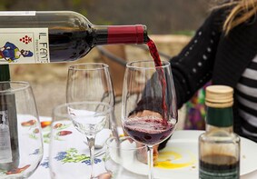 Florence Day Trip: Pisa, Winery Lunch, City Stroll in Lucca