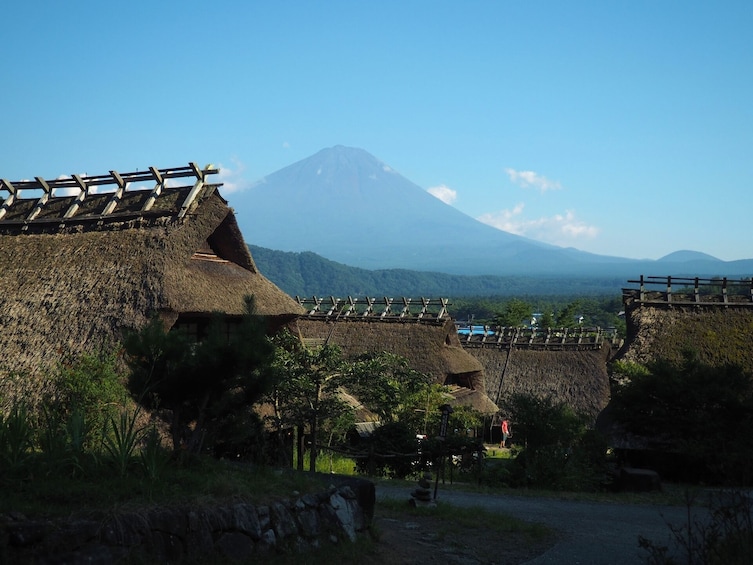 Mt. Fuji and Lake Kawaguchi Scenic Spots 1-Day Bus Tour