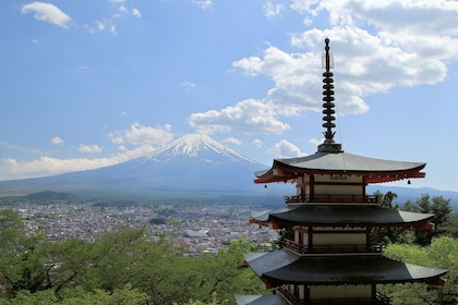 Mt. Fuji and Lake Kawaguchi Scenic Spots 1-Day Bus Tour