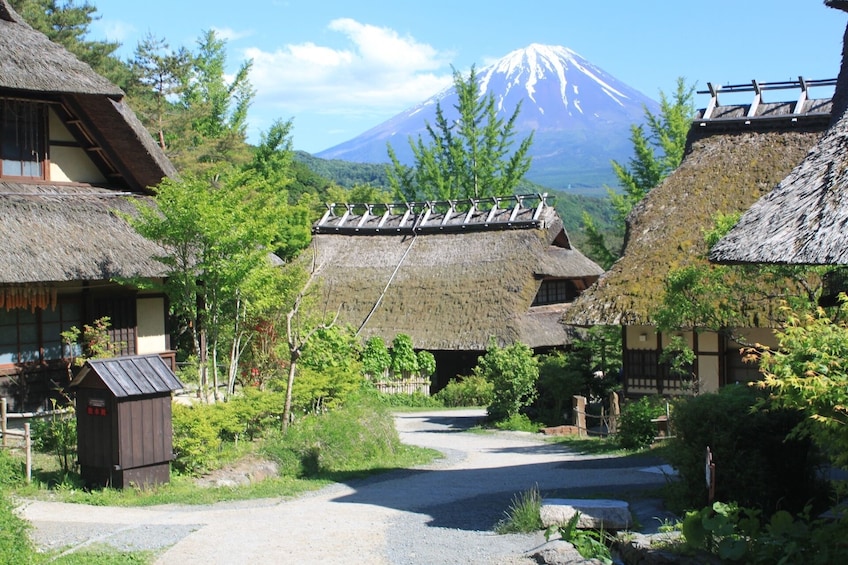 Mt. Fuji and Lake Kawaguchi Scenic Spots Full Day Bus Tour