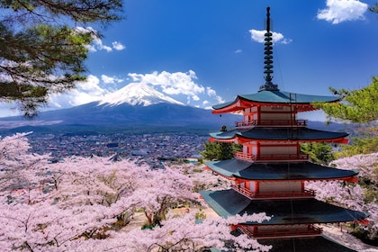 Mt. Fuji en Lake Kawaguchi Scenic Spots Bus Tour van een hele dag
