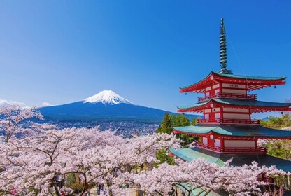 Fuji-vuori ja Kawaguchi-järvi 1 päivän bussikierros