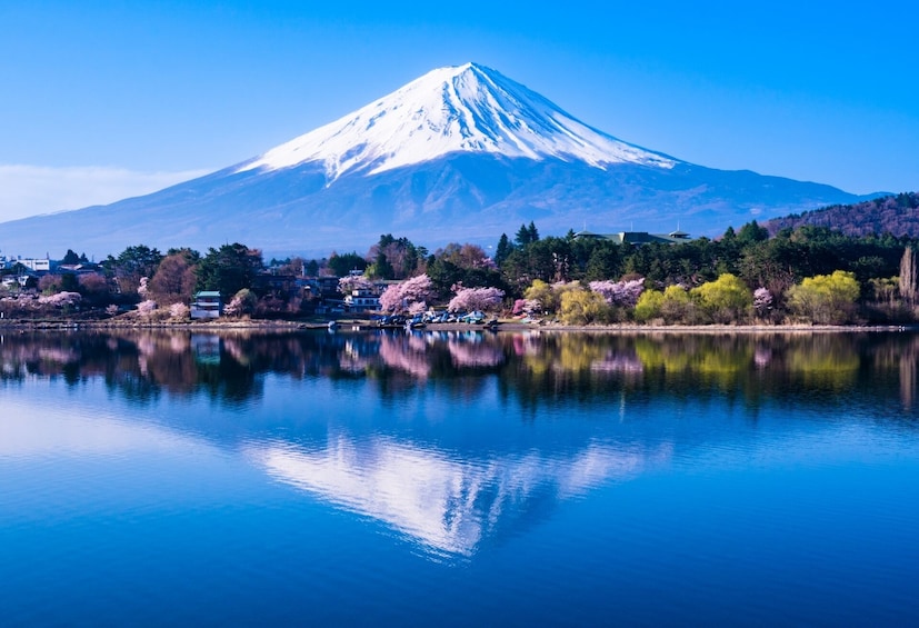 Mt. Fuji and Lake Kawaguchi Scenic Spots Full Day Bus Tour