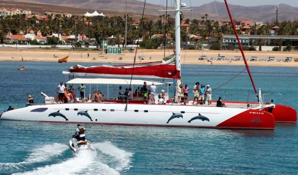 Catamaran in Fuerteventura