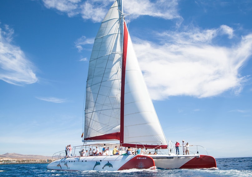 Catamaran in Fuerteventura