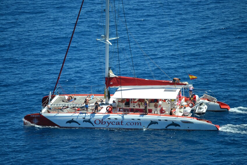 Catamaran sailing experience from Caleta de Fuste