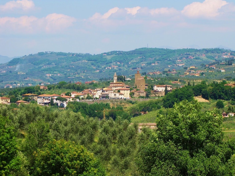 Panoramic view of lush town of Vinci, Italy
