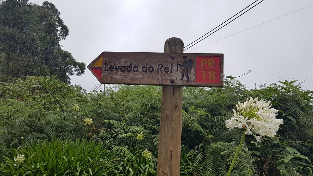 Private Service VIP Levada do Rei Walk