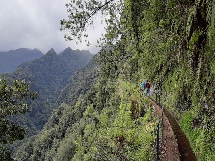 Private Service VIP Levada do Rei Walk