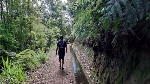 Promenade privée guidée à Levada do Rei
