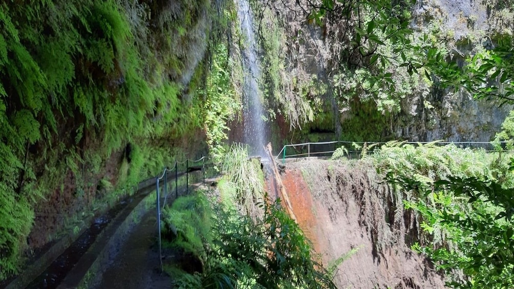 Private Service VIP Levada do Rei Walk