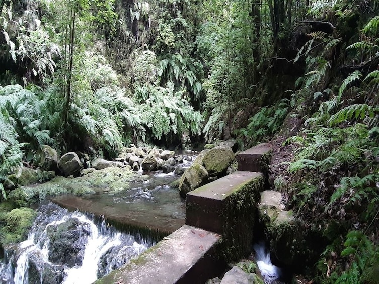 Private Service VIP Levada do Rei Walk