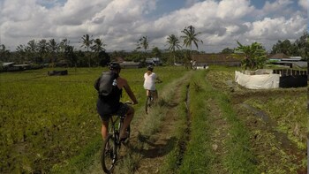 Electric Bike Bali
