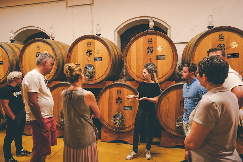 Amarone Classico Wine Tour