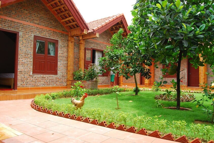 Front courtyard of Tam Coc Bungalows with chicken on grass