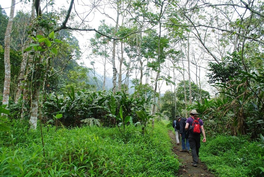 2 Day Bai Dinh, Trang An & Cuc Phuong National Park