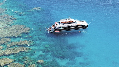 Dreamtime Dive et Snorkel - Expérience de la Grande Barrière de Corail