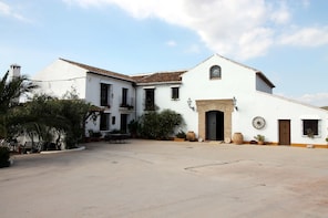 Private olive oil tour with full breakfast included