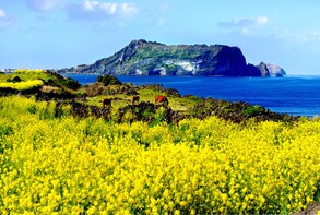 UNESCO Small Group Day Tour of Jeju Island - East Course
