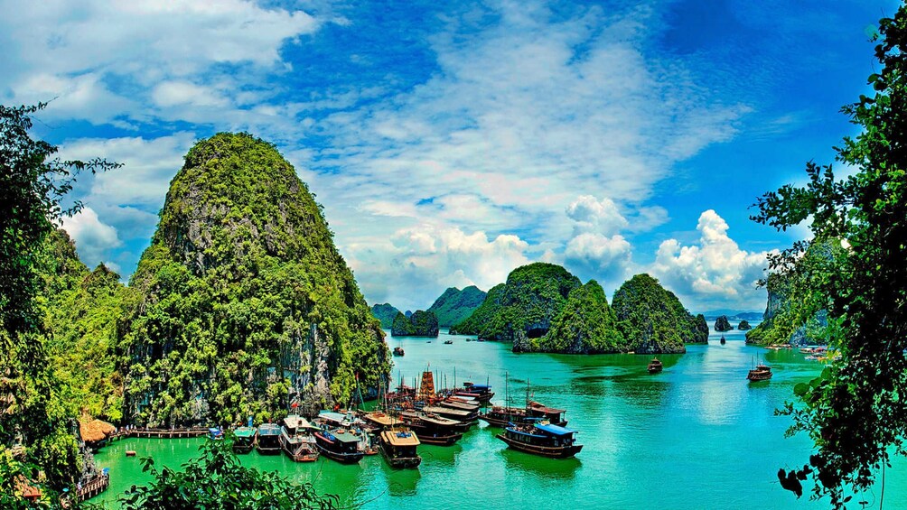 Many boats docked by an island in Halong Bay on sunny day