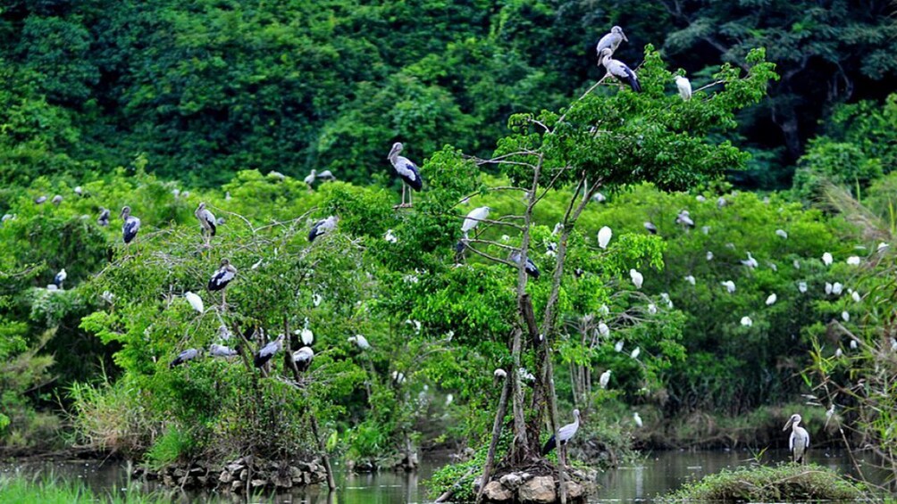 2-days Hoa Lu - Thung Nham - Bai Dinh - Trang An