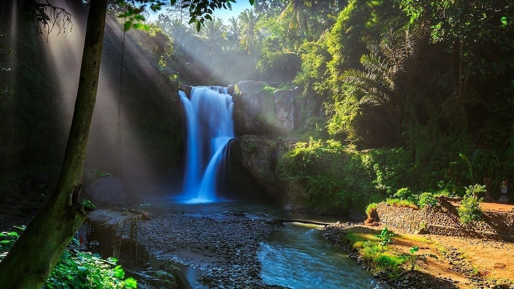 Show item 2 of 10. Best of Ubud: Monkey Forest, Temple, Waterfall and more