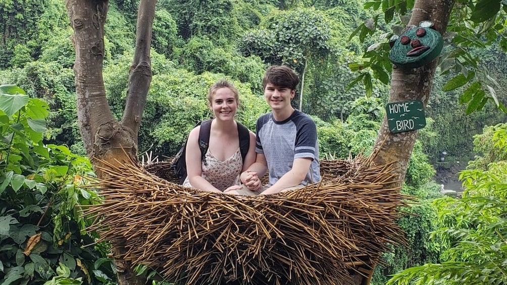 Show item 5 of 10. Best of Ubud: Monkey Forest, Temple, Waterfall and more