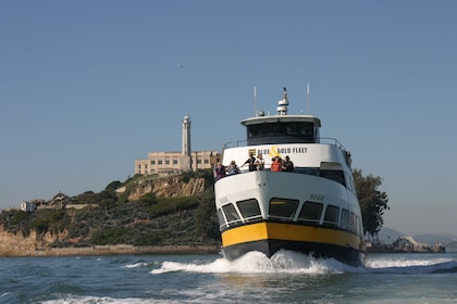 Bus and Boat Adventure: 1 Day Hop On Hop Off City Tour & Bay Cruise