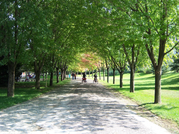 Bursa Botanik Park