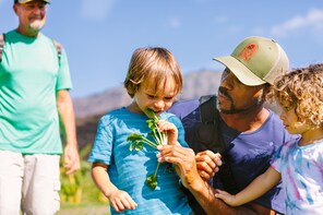 Oahu: Farm to Forest Tour