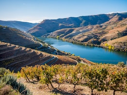 Douro Valley Historical Tour - Full Day - Shared Group
