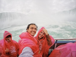 Small-Group Day Tour of Niagara Falls and the Niagara Region