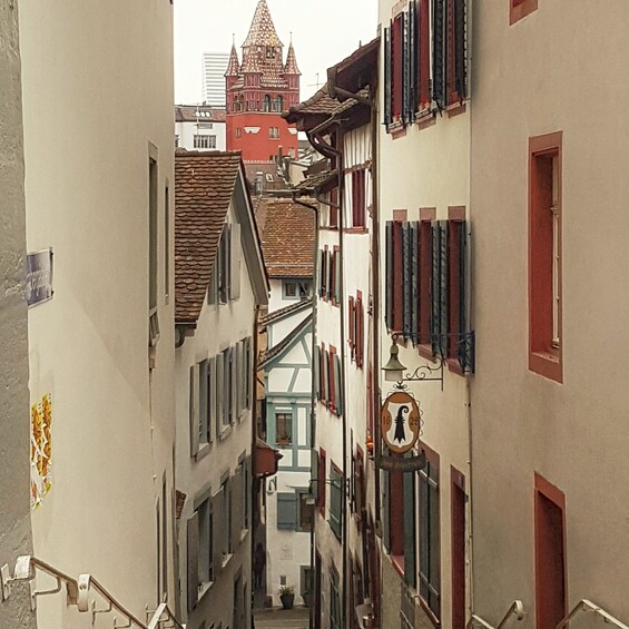 Basel city tour - 4 hours - with private tour guide