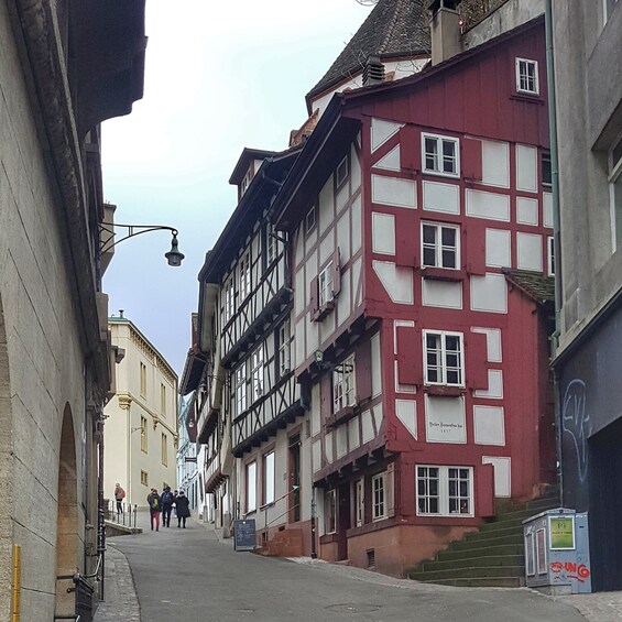 Basel city tour - 4 hours - with private tour guide