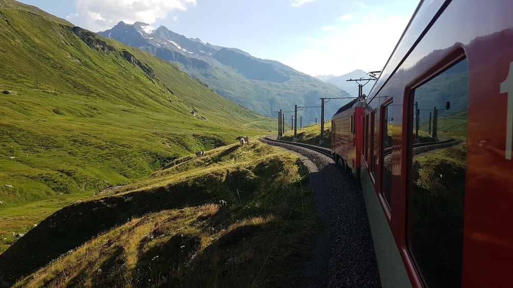 Glacier Express 1-day-tour with private tourguide from Basel