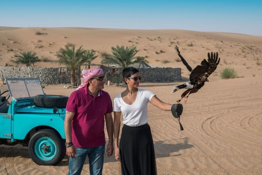 Falcon show at the Dubai Desert Conservation Reserve