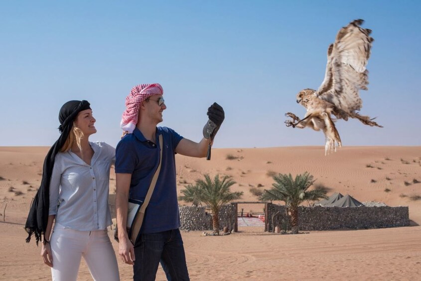 Morning falcon show at the  Dubai Desert Conservation Reserve