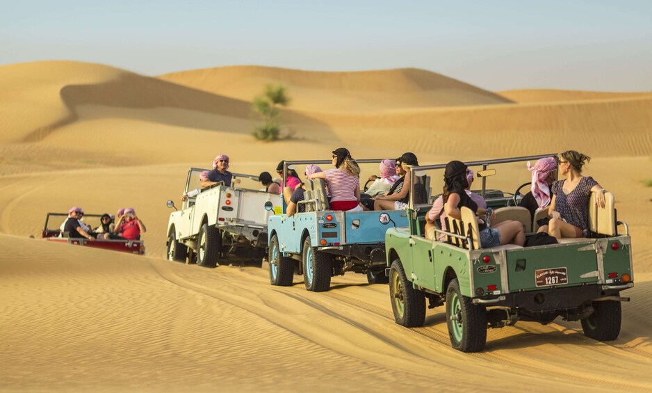 Heritage Falconry, Birds of Prey & Nature Desert Safari