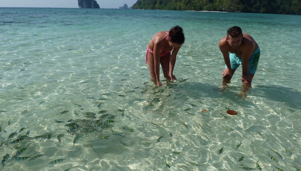 Tourists look through clear sea water at small fish