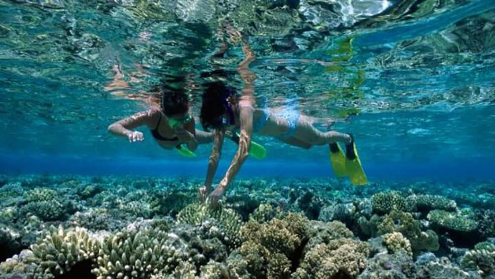 Two people snorkel at Ras Mohammed National Park