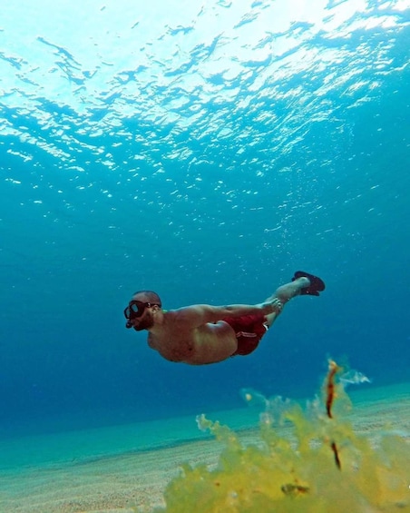 Snorkeling Trip At Port Ghalib Marina from Marsa Alam