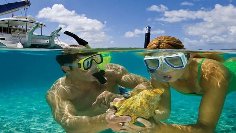 Two snorkelers hold sea creature in water in Egypt