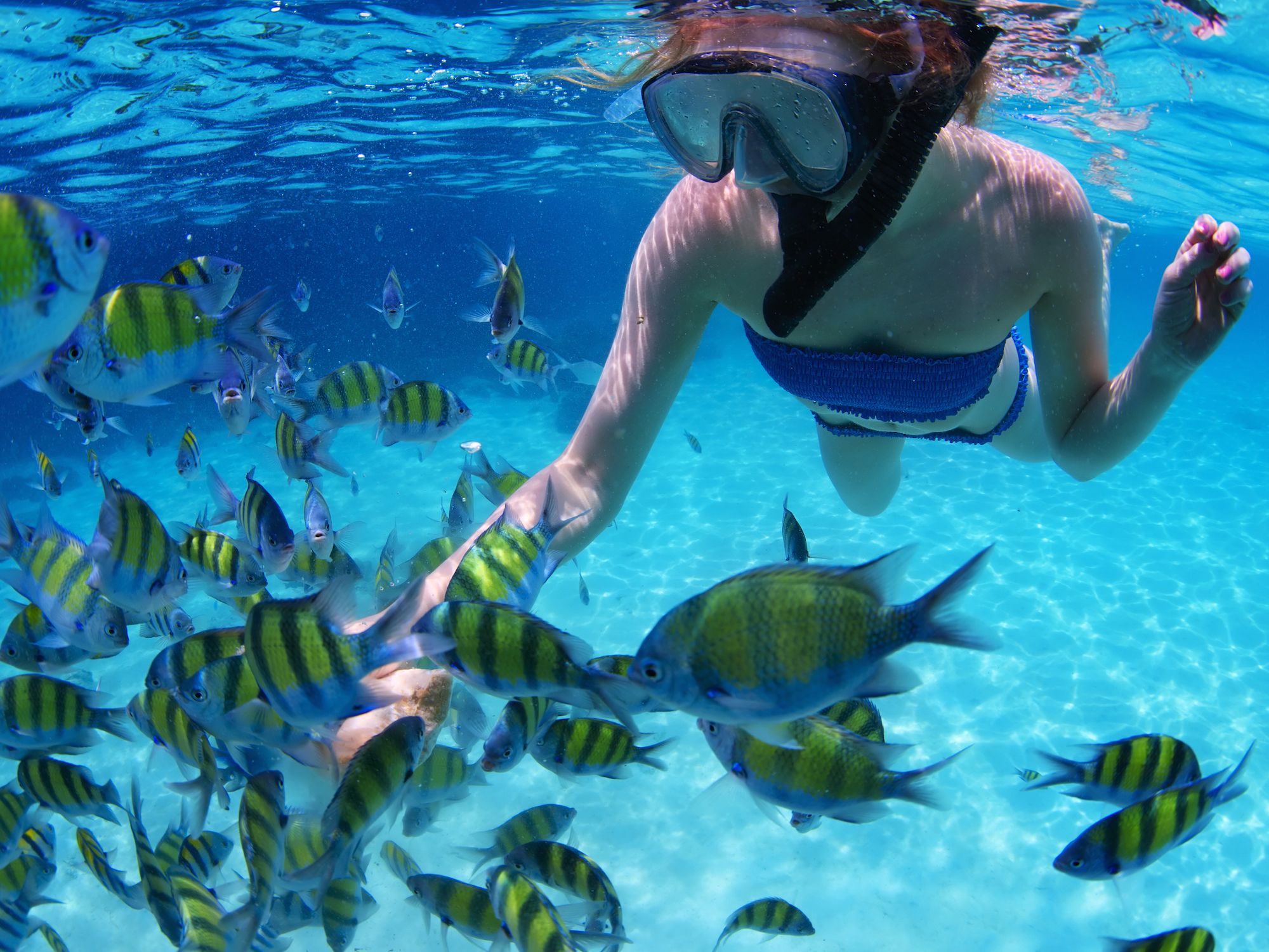 Snorkeling Fort Walton Beach: A Comprehensive Guide