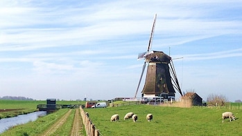 Private Full-Day Customisable Tour of Holland
