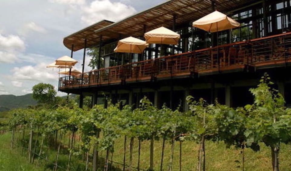 Raised terrace at  Hua Hin Hills Vineyard