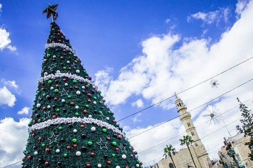 Large Christmas tree displayed in Jerusalem, Israel